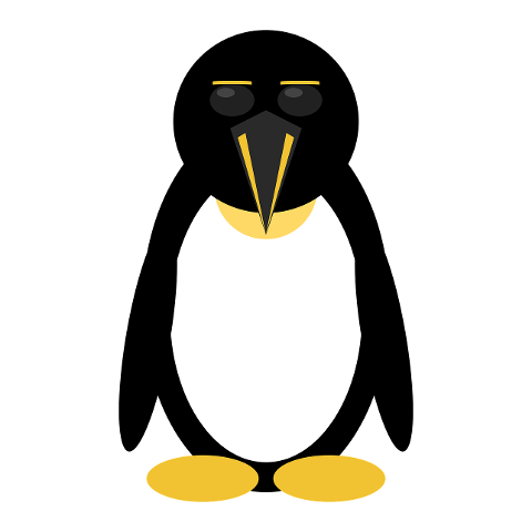 penguin-animal-clipart-cutout-6770164