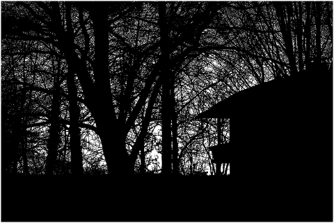 trees-house-forest-silhouette-8159660