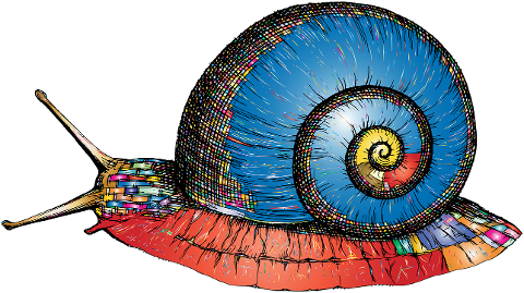 snail-mollusk-animal-line-art-5812988
