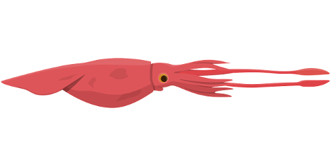 marine-colossal-squid-animal-cutout-9245445