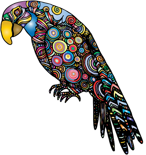 parrot-bird-animal-perched-cartoon-6474327