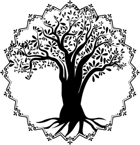 tree-tree-of-life-round-frame-roots-7080507
