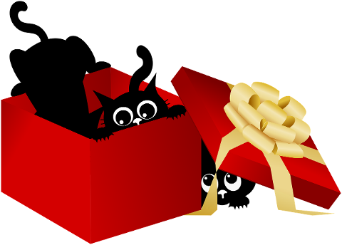 cat-kitten-black-cats-pet-animal-9863321