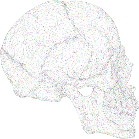 skull-head-low-poly-face-wireframe-7551993