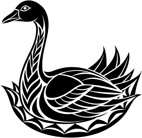 goose-bird-animal-ornithology-8799282