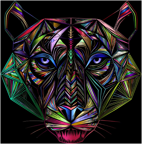 tiger-animal-feline-big-cat-head-8700723