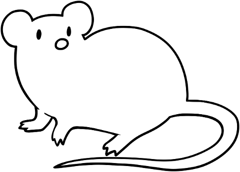 mouse-animal-line-art-rat-rodent-6158666