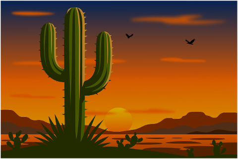 cactus-nature-plants-cacti-flora-9696097