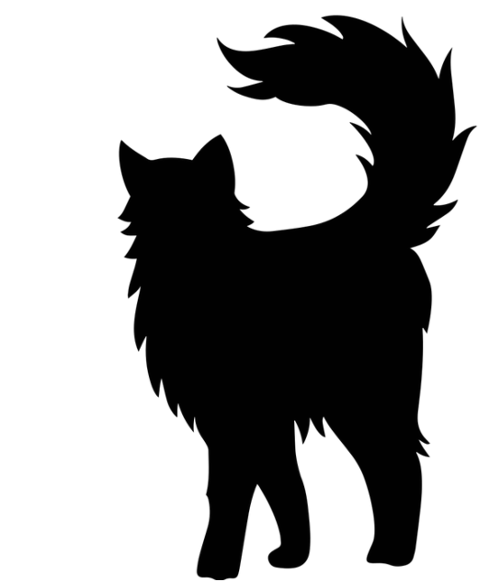 cat-feline-silhouette-animal-7098636