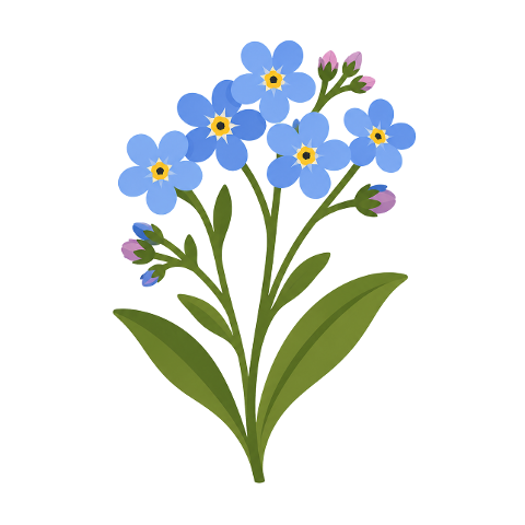 forget-me-not-flower-blue-10388668