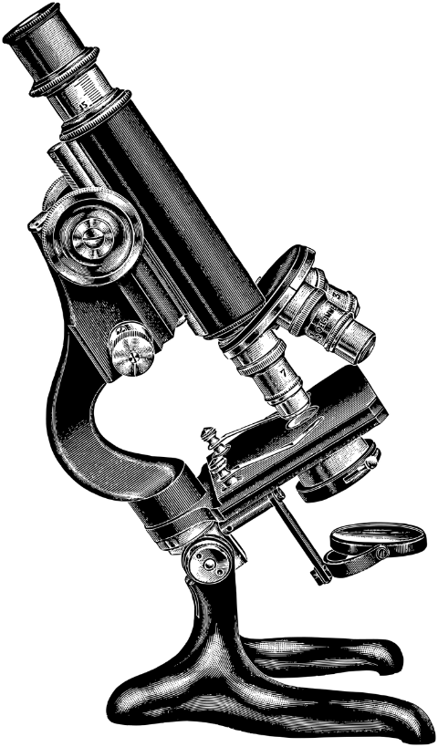 microscope-magnify-line-art-science-7290148