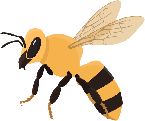 honeybee-bee-insect-bug-animal-9412521