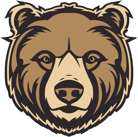 bear-bear-face-wildlife-safari-7885261