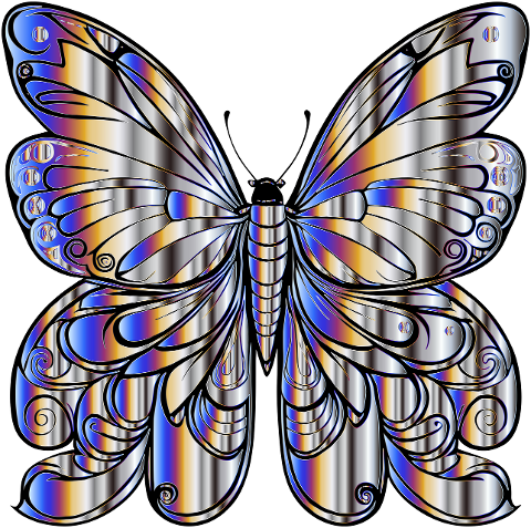 butterfly-insect-animal-wings-8188385