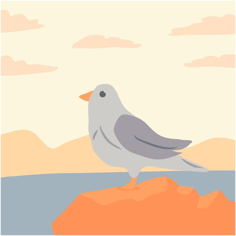 seagull-bird-lake-animal-nature-9681129