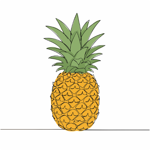 tropical-fruit-summer-vacation-9977458