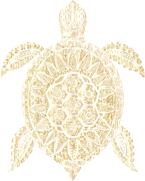 sea-turtle-animal-reptile-wildlife-9556833