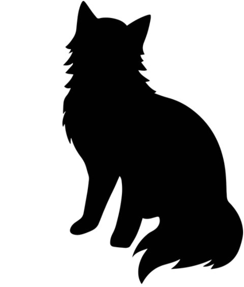 cat-feline-silhouette-animal-7098637