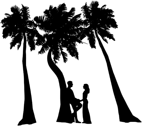 palm-trees-couple-silhouette-lovers-6143986