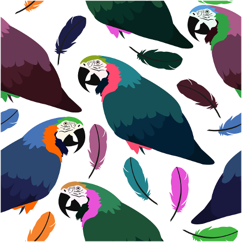 parrot-feather-background-pattern-6349238