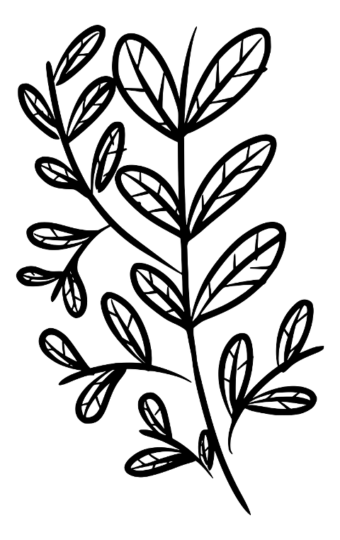 leaf-plant-nature-foliage-drawing-7453952