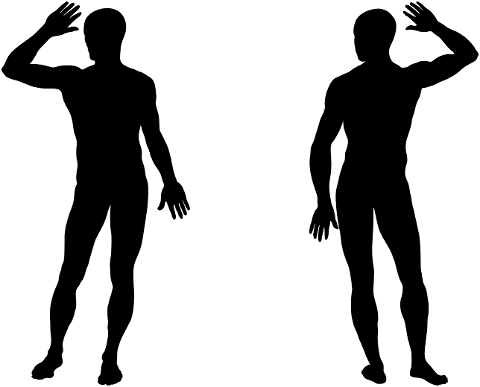 man-body-human-silhouette-male-7337109