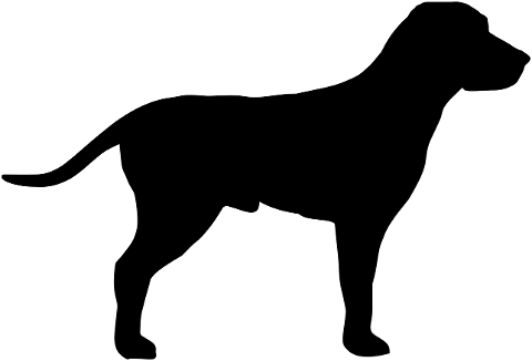 dog-animal-silhouette-5890164