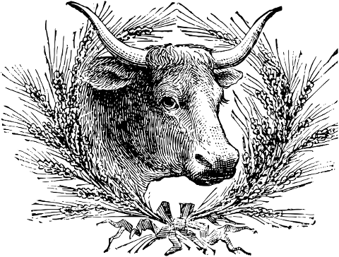 cow-animal-wreath-livestock-cattle-6713042