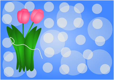 tulip-pink-tulip-nature-spring-9887034