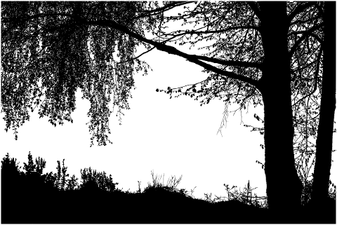 trees-nature-silhouette-landscape-7038251