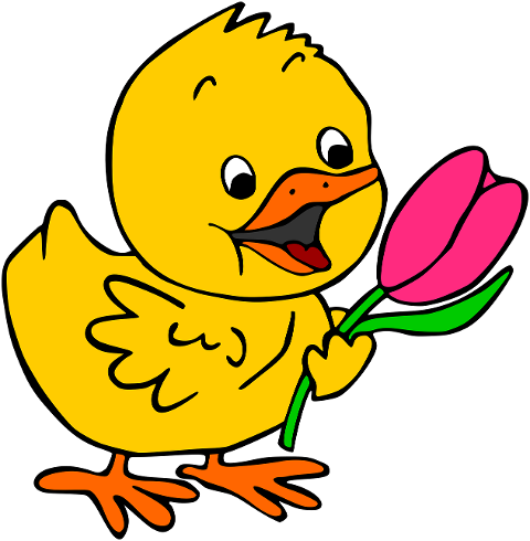 easter-chick-tulip-flower-crocus-6122878
