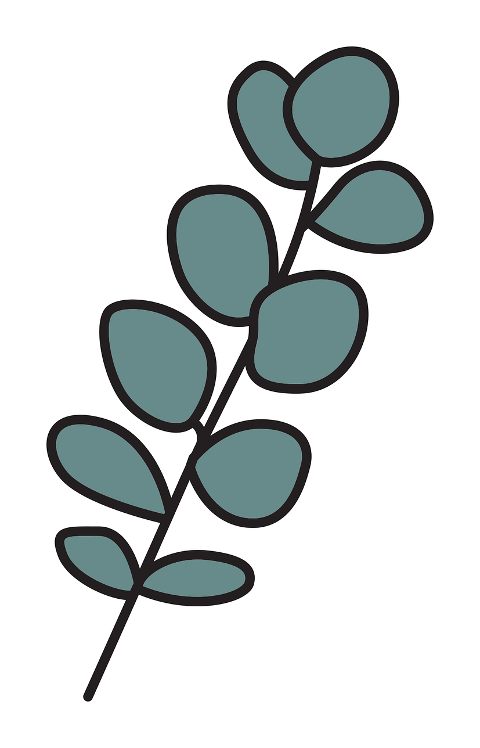 eucalyptus-leaves-plant-greenery-9471072