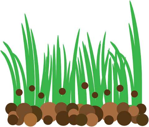 grass-fertilizer-lawn-garden-6999710