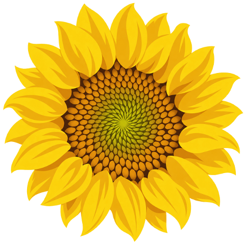 sunflower-yellow-flower-bloom-10480950