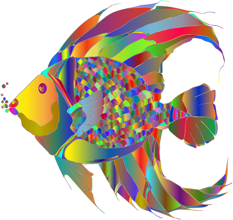 fish-animal-swimming-colorful-5856201