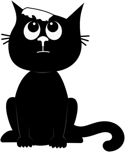 cat-kitten-black-cat-pet-cute-10231167