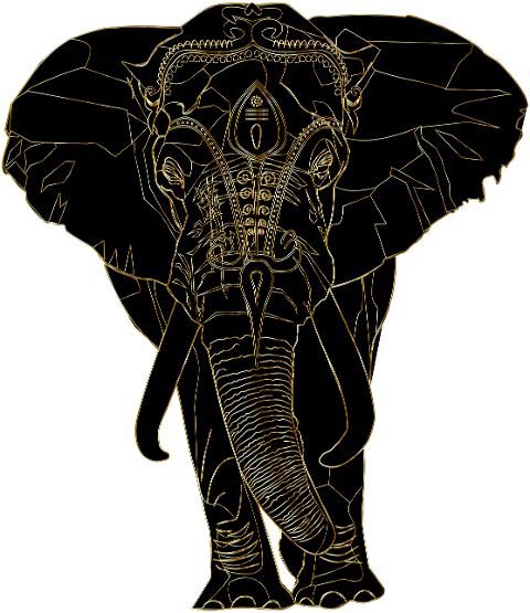 elephant-animal-pachyderm-8298761