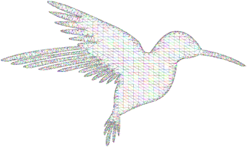 hummingbird-low-poly-wireframe-4678489