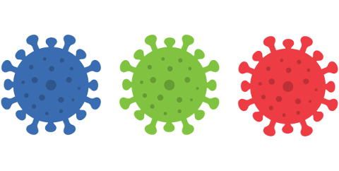 virus-coronavirus-corona-covid-19-5221760