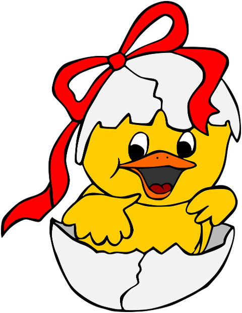 egg-chick-easter-bow-shell-6122935