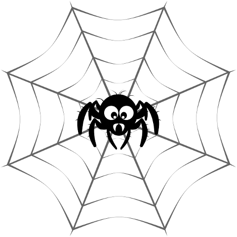 spider-critter-insect-thread-9052591