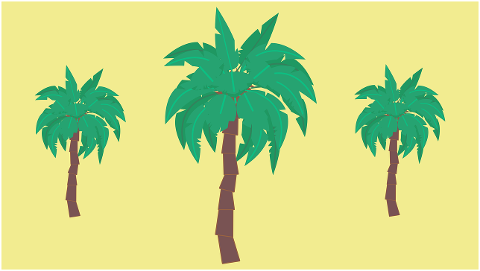 palm-trees-beach-tropical-island-6641488