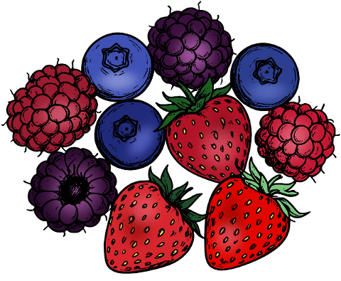 berry-fruit-nature-food-healthy-10120282