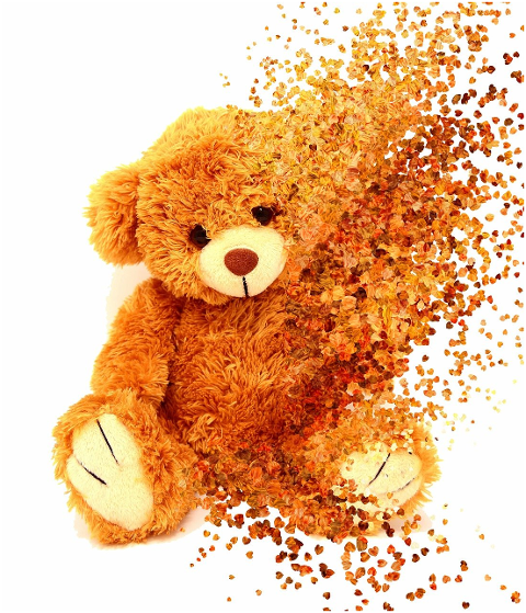 teddy-bear-dispersion-toy-6239854