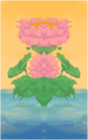 lotus-tank-flower-water-4315147