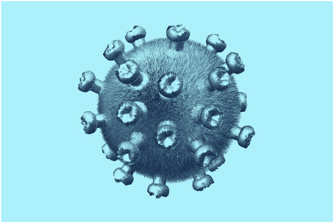 covid-19-coronavirus-virus-5196298