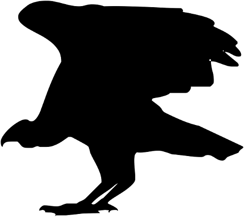 silhouette-bird-nature-dark-4535359