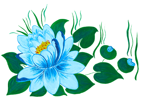waterlily-waterlilies-water-flower-6241832