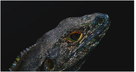 lizard-digital-dragon-scale-nature-4856682