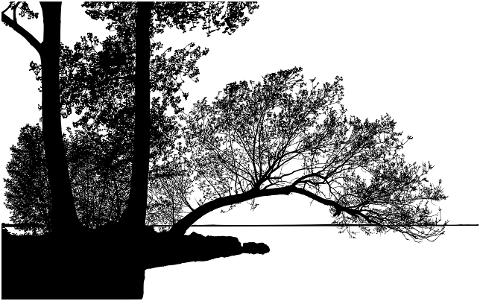 trees-lake-river-forest-silhouette-7120223
